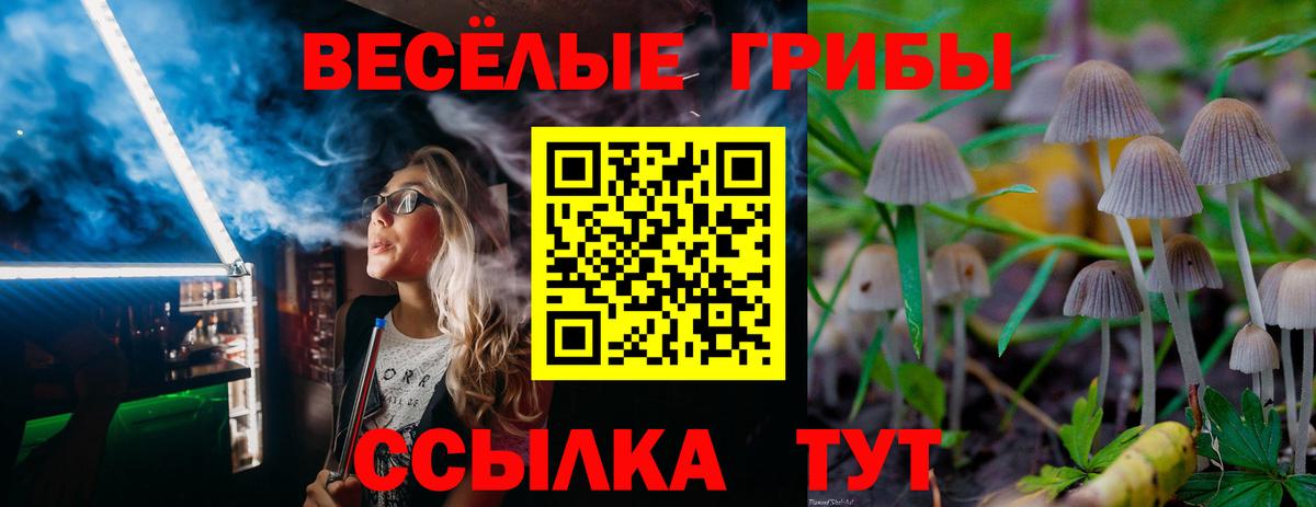 Галлюциногенные грибы прущие грибы Заводоуковск