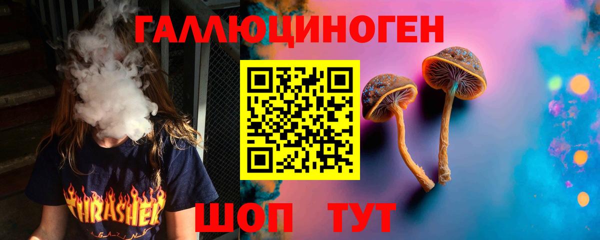 Псилоцибиновые грибы мухоморы  наркотики  Заводоуковск  Вход с VPN  Псилоцибиновые грибы ЛСД 